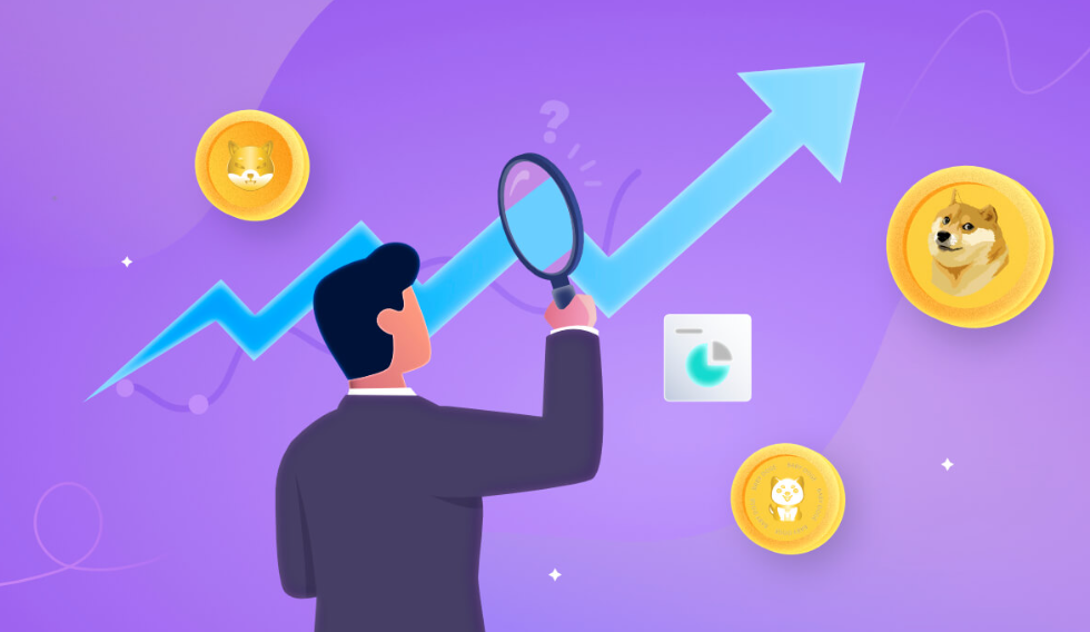 What Is a Meme Coin and Why Does It Gain Popularity?